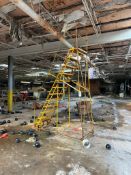 INDUSTRIAL 12-FOOT ROLLING WAREHOUSE PLATFORM LADDER