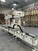 ALL-FILL DUAL-HEAD POWDER FILLING AND PACKAGING MACHINE