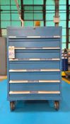 BLUE ROLLING MULTI-DRAWER INDUSTRIAL TOOL STORAGE CABINET