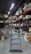 LARGE INDUSTRIAL ROLLING LADDER