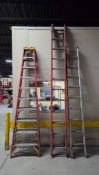 SET OF A-FRAME AND EXTENSION LADDERS