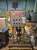LEESON 5 HP DUAL PUMP FLUID CONTROL SKID PACKAGE W/ ADALET EXPLOSION-PROOF PLATT INDUSTRIAL CONTROL