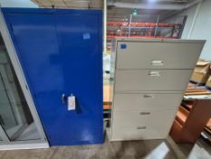 (2) INDUSTRIAL STORAGE CABINETS