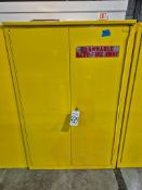 FLAMMABLE STORAGE CABINET - 43