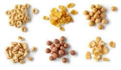 Complete Closure of Food Processing and Packaging Facility