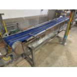 Transfer Conveyors