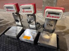 Bench Scales