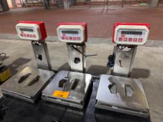 Bench Scales