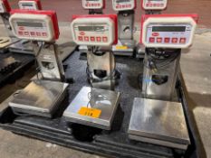 Bench Scales