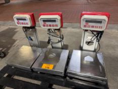 Bench Scales