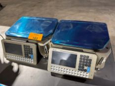 Commercial Scales