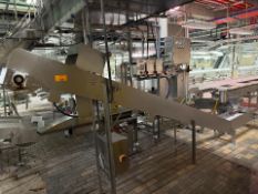 Incline Conveyor