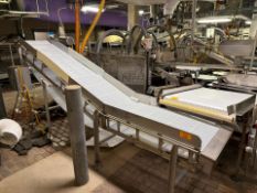 Discharge Conveyors