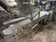 Dual Lane Infeed Conveyor