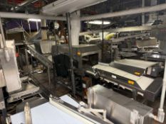 Discharge Conveyors w/ Heat Tunnel