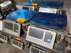 Commercial Scales