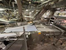 Dual Lane Infeed Conveyor