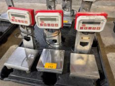Bench Scales