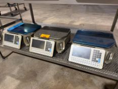 Commercial Scales