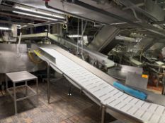Incline Conveyor