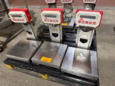 Bench Scales
