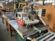 Straight Line Rip Saw