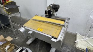 Brush Bag Tensioner on Bag Closing Conveyor
