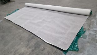 Ulster carpet - light grey with darker grey speckles - approx dimensions: L 6000 x W 4570mm