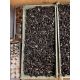 Workshop consumables in metal storage trays - heavy duty bolts, nuts, washers, studs - approx 915kg - Image 3 of 17