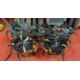 5x SA EQUIP PNSB110/15-4EX/STA 110V 4 WAY EX. Splitter Units (STAHL) - Image 1 of 32