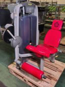 TechnoGym leg extension exercise machine - weight stack: between 2.5kg and 95kg