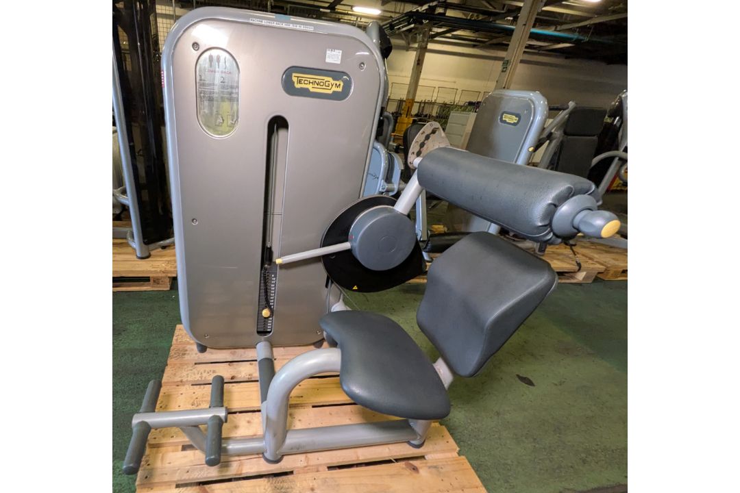 TechnoGym Excite lower back weights exercise machine - weights stack: 5kg to 95kg - Image 1 of 8