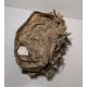 85x British Army MTP combat helmet covers - mixed types - mixed sizes - Image 6 of 11
