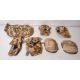 Various types of ex-military desert accessories - 156kg – may require repair / be incomplete - Image 1 of 17