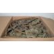 24x British Army MTP individual hydration pouches - Image 11 of 11