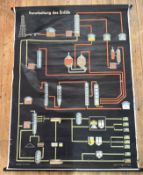 A Vintage German Educational Digram Print titled - 