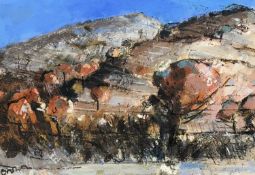 John Caldwell Brown R.S.W. (Scottish, 1945-), Scorched Hills and Golden Trees, Spain, signed lower