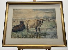 A 20th School, Cows in a Field Study, watercolour, signed indistinctly bottom left, in a glazed