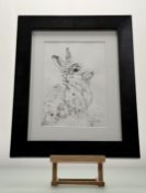 Caroline Fulton (Contemporary), Mountain Hare Study 1, pen and ink, signed bottom right, paper label