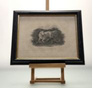 A trio of engraving by John Scott (1774-1827) titled - Setter and Black Grouse, Spaniels and The Old