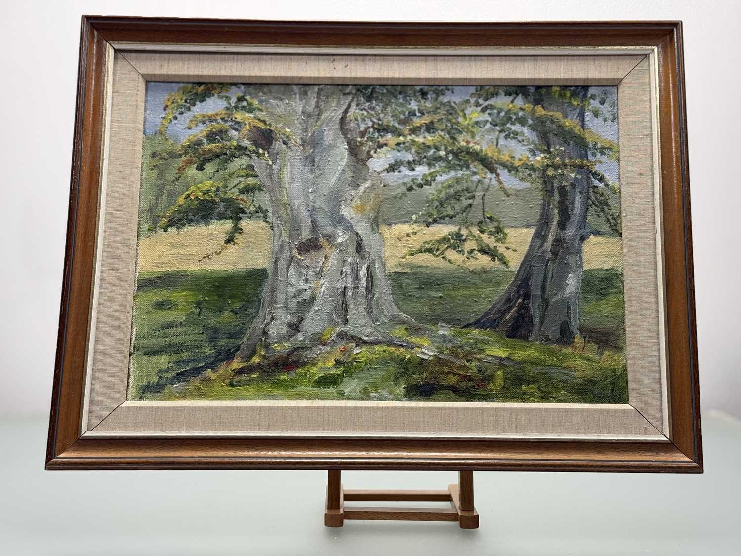 Shirley Mathieson, Trees at Edzell, oil on canvas, signed, titled and dated 1981 verso, framed. (