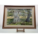 Shirley Mathieson, Trees at Edzell, oil on canvas, signed, titled and dated 1981 verso, framed. (