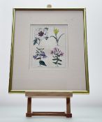 A collection of three various works comprising, a Floral Botanical Illustration print, in a glazed