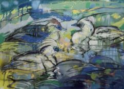 Y Sally Carlaw (Scottish, b. 1964), Three Smews, signed lower right, dated 1995, gouache, framed.