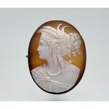 A late 19th century gold-mounted shell cameo brooch, the cameo carved with a profile bust of the