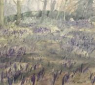 Y Jenny Matthews (Scottish, b. 1964), Bluebell Wood, signed lower right, dated 1987, watercolour,