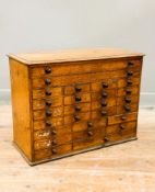 A late 19thc oak collector's chest, the moulded top above two long drawers above an assortment of