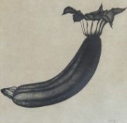 Y Jack Knox R.S.A., R.S.W., R.G.I. (Scottish, 1936-2015), Courgette, signed lower right, pencil,