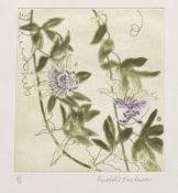Y Dame Elizabeth Violet Blackadder D.B.E., R.A., R.S.A. (1931-2021), Passion Flower, signed lower