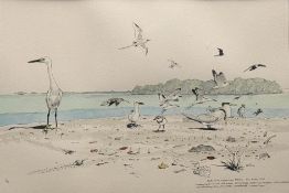 John Philip Busby RSW RSA (1928-2015), Birds in the Lagoon Shore Aldary, 10/12, pen and watercolour,